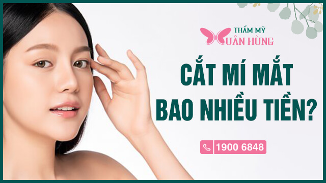 cat mi mat bao nhieu tien